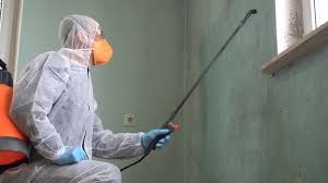 Best Basement Mold Removal  in Labelle, FL