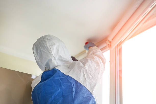 Best Biohazard Mold Removal  in Labelle, FL